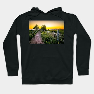 Sunset Trail Sandy Hook Hoodie